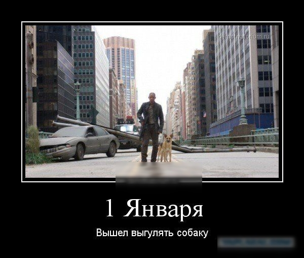 1 Января Вышел выгупять собаку
