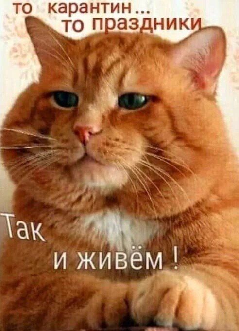 ТО карантин