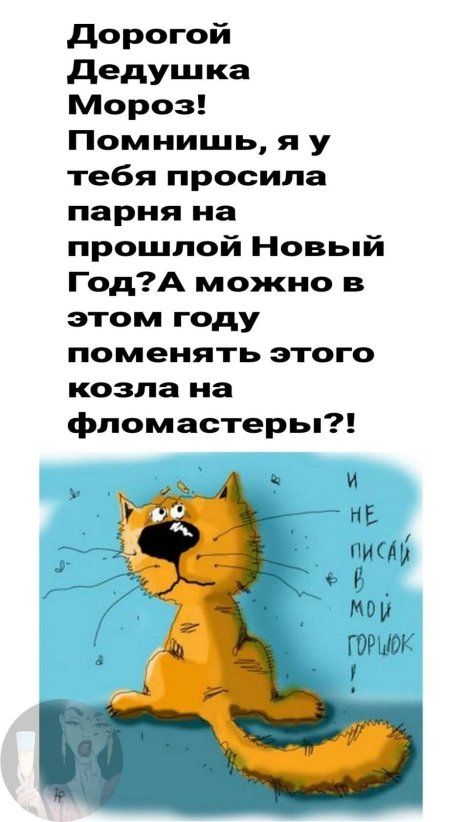 дорогой дедушка Мороз Помнишь я у тебя просила парня на прошлой Новый ГодА можно в этом году поменять этого козла на фломастерьп