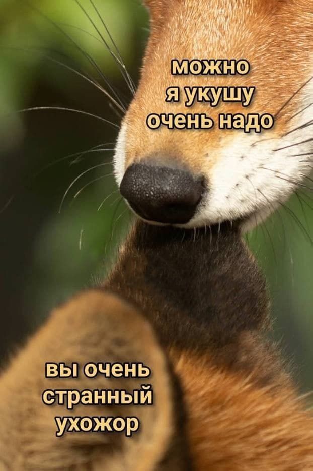 вы очень _ бтраНный УХбЖор __