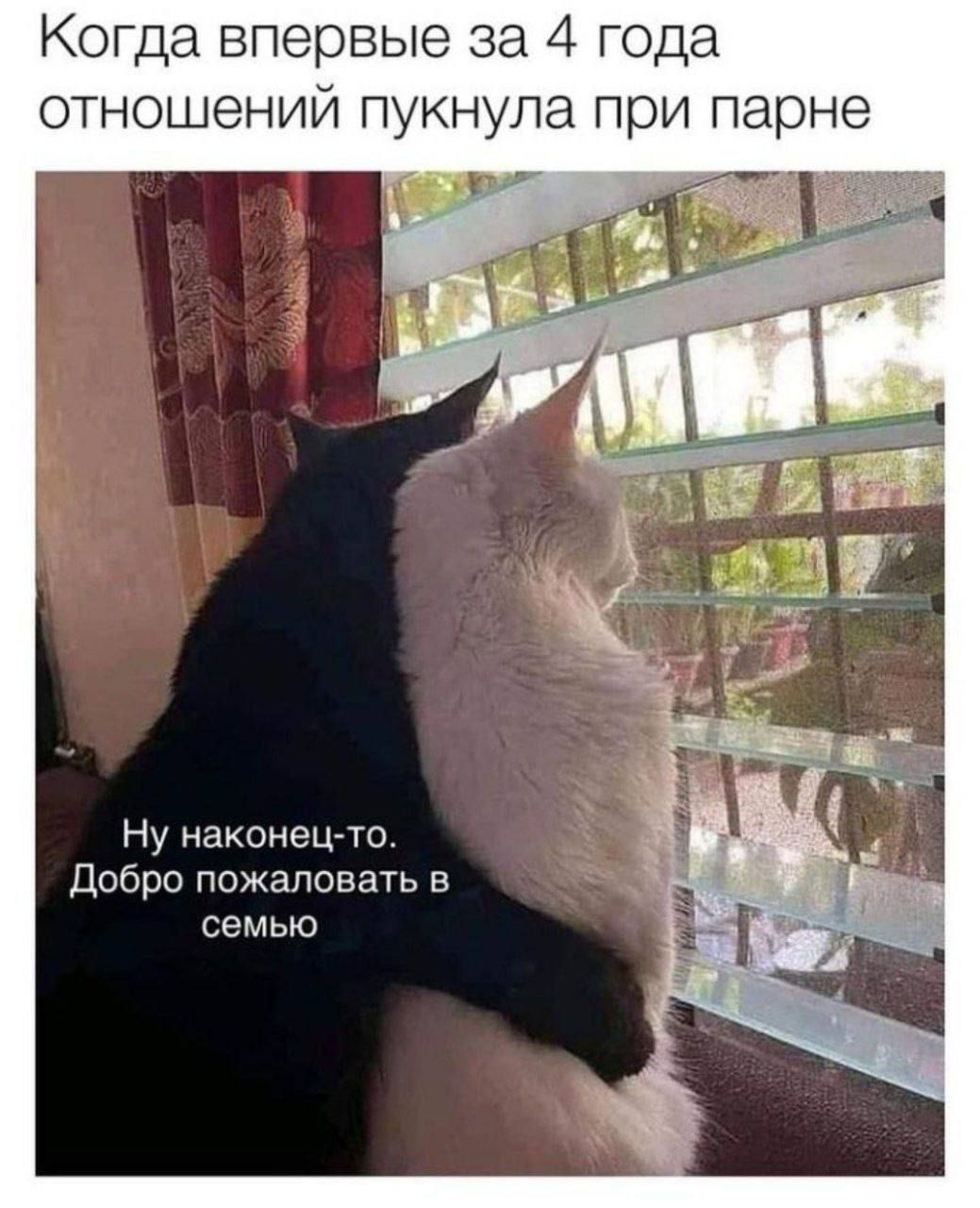 Когда впервые за 4 года отношений пукнула при парне 95 Ну наконец то Добро пожаловать в семью