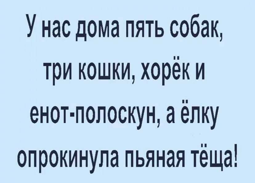 У нас дома пять собак три кошки хорёк и енот попоскун а ёлку опрокинула пьяная тёща