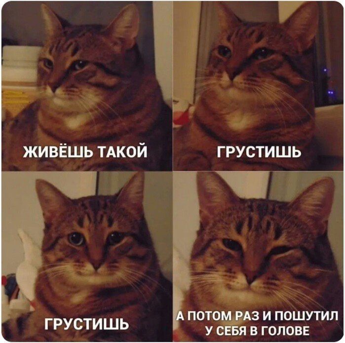 ч _ ь ЖИВЁШЬ ТАКОЙ ГРУСТИШЬ ПОТО ЗИПОШУТИЛ У В ГОЛОВЕ ГРУСТИШЬ