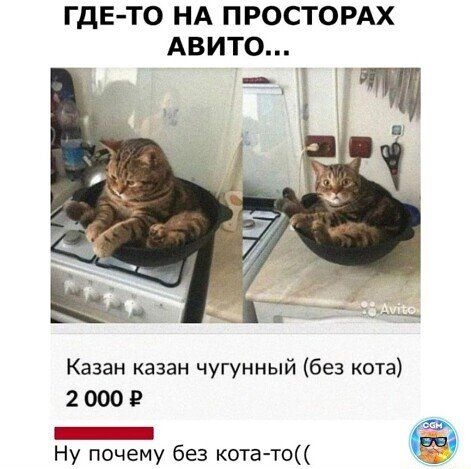 ГДЕ ТО НА ПРОСТОРАХ АВИТО Казан казан чугунный без кота 2 000 Е Ш Ну почему без кота то