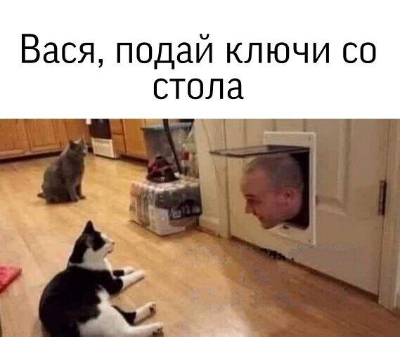 Вася подай ключи со СТОЛ 8