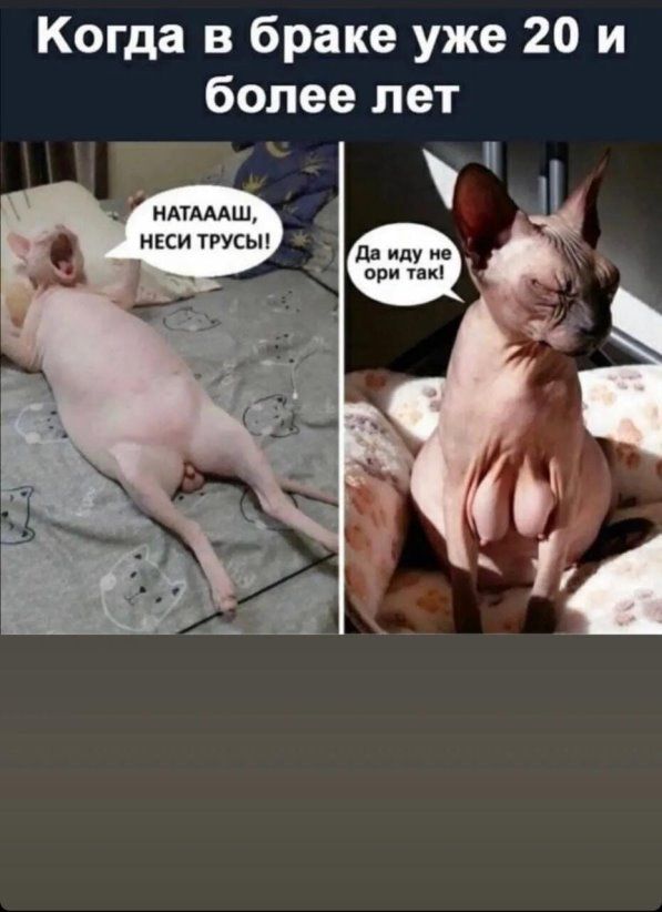 Когда в браке уже 20 и более лет НАТАААШ неси трусыг