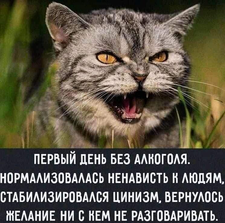 _ 1 _ ПЕРВЫЙ ЛЕНЬ БЕЗ ААНОГОАЯ НОРМААИЗОВАААБЬ НЕНАВИБТЬ Н АЮДЯМ СТАБИАИЗИРОВААБЯ ЦИНИЗМ ВЕРНУАОВЬ ШЕААНИЕ НИ В НЕМ НЕ РАЗГОВАРИВАТЬ