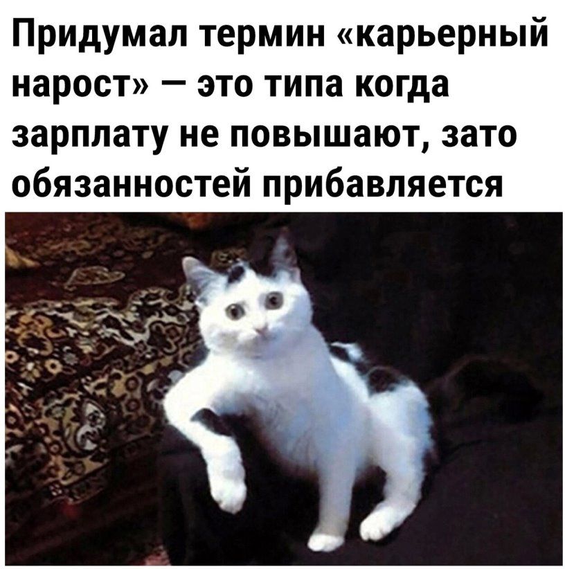 Придумал термин карьерный нарост это типа когда зарплату не повышают зато обязанностей прибавляется