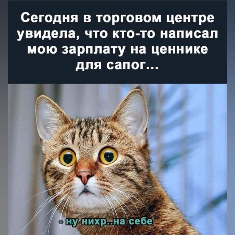 сегодня В торговом центре увидела ЧТО КТО ТО написал МОЮ ЗЗРПЛЗТУ на ценнике дЛЯ СЗПОГ