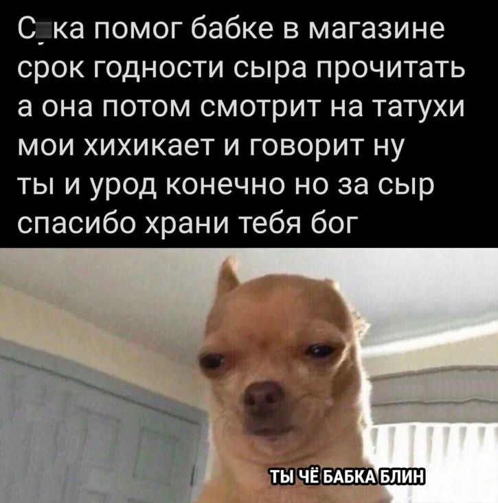 С ка помог бабке в магазине срок годности сыра прочитать а она потом смотрит на татухи мои хихикает и говорит ну ты и урод конечно но за сыр спасибо храни тебя бог ПБШШШ