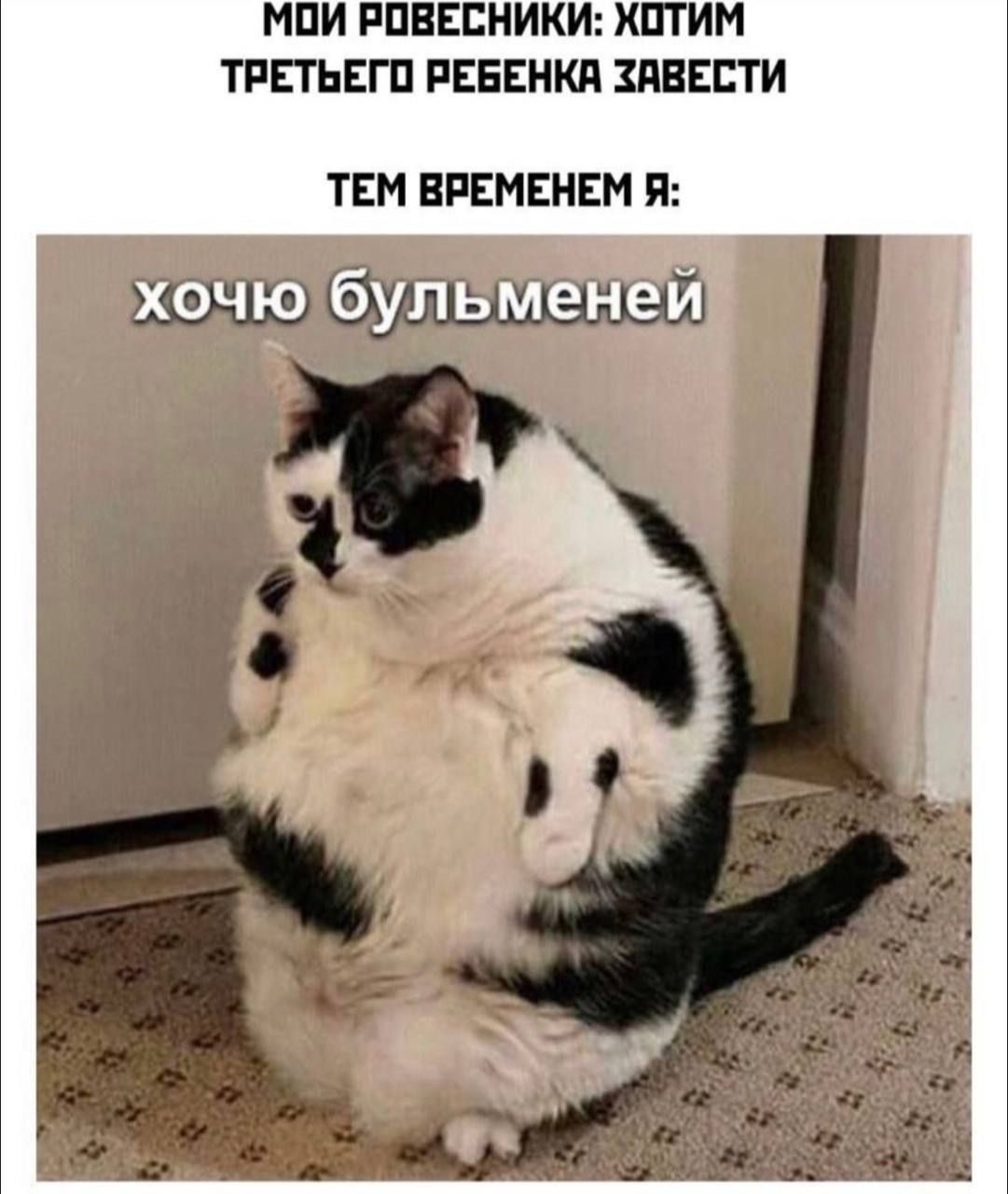 Мои ровесники: хотим третьего ребенка завести тем временем я: хочю бульменеи