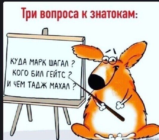 Три вопроса к знатокам: куда марк шагал ? Кого бил гейтс 2 и чем тадж махал