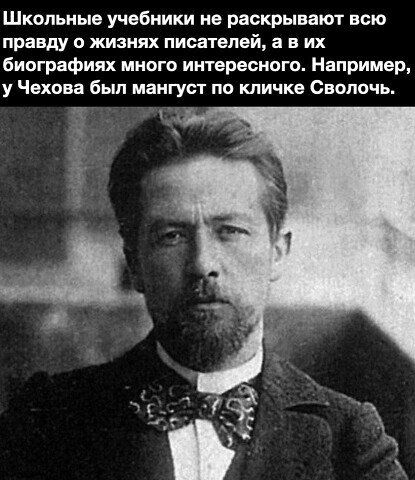 Школьные учебники не раскрывают всю правду о жизнях писателей, а в их биографиях много интересного. Например, у чехова был мангуст по кличке сволочь.