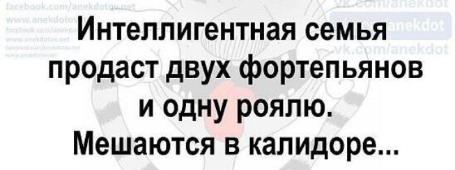 Интеллигентная семья продаст двух фортепьянов и одну рояпю Мешаются в калидоре