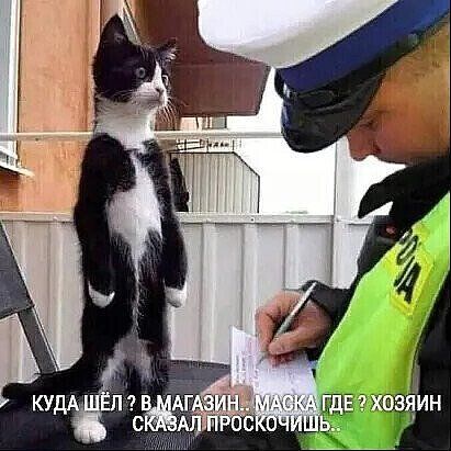 На десерт