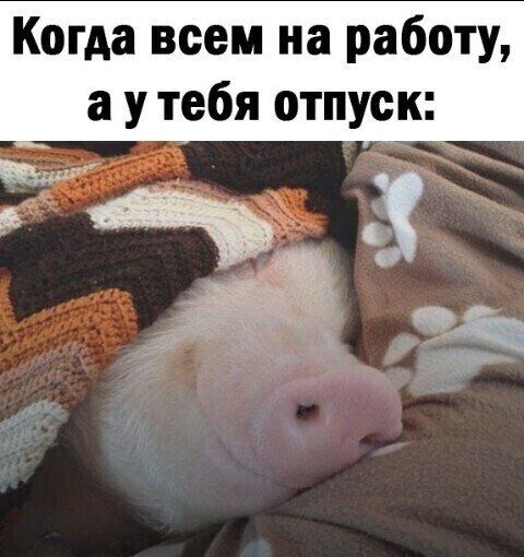 Когда всем на работу а у тебя отпуск