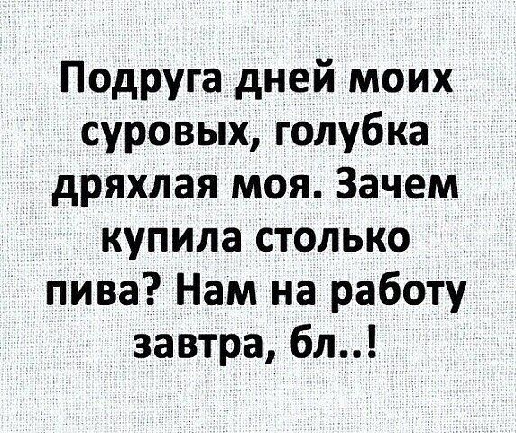 Подруга дней моих суровых голубка дряхлая моя Зачем купила столько пива Нам на работу завтра бл