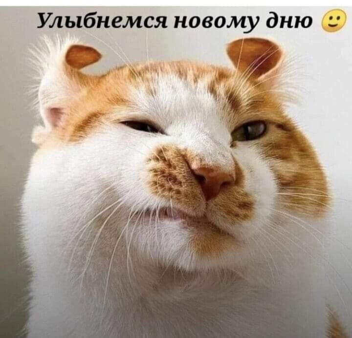 Улыбнемся новому дню И