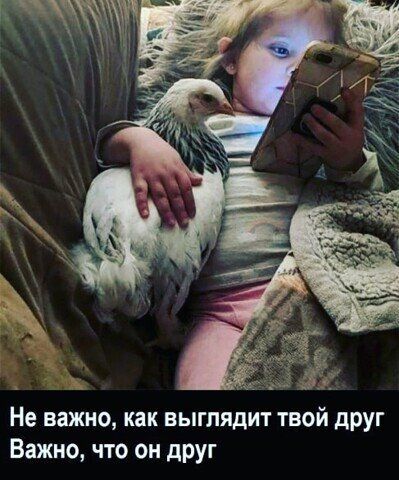 Не важно как выглядит твой друг Важно что он друг