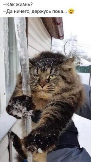 К1 жизнь Да ньщещ держусь пак