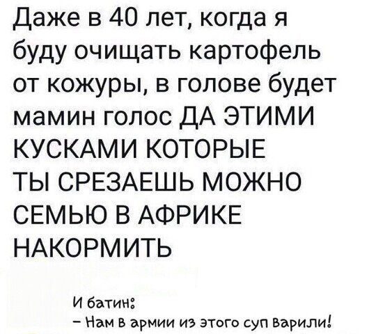 Даже в 40 лет когда я буду очищать картофель от кожуры в голове будет мамин голос ДА ЭТИМИ КУСКАМИ КОТОРЫЕ ТЫ СРЕЗАЕШЬ МОЖНО СЕМЬЮ В АФРИКЕ НАКОРМИТЬ И батин Нам в армии из этого суп варили