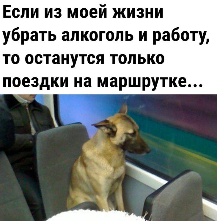 ЕСЛИ ИЗ моей ЖИЗНИ убрать алкоголь и работу то останутся только поездки на маршрутке