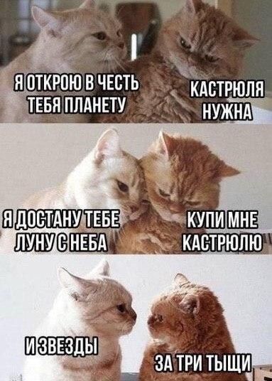 ткрпю в чгсть дстрюпя _ЕБНПЛАНЕТУ ЦЕЗ нужнд