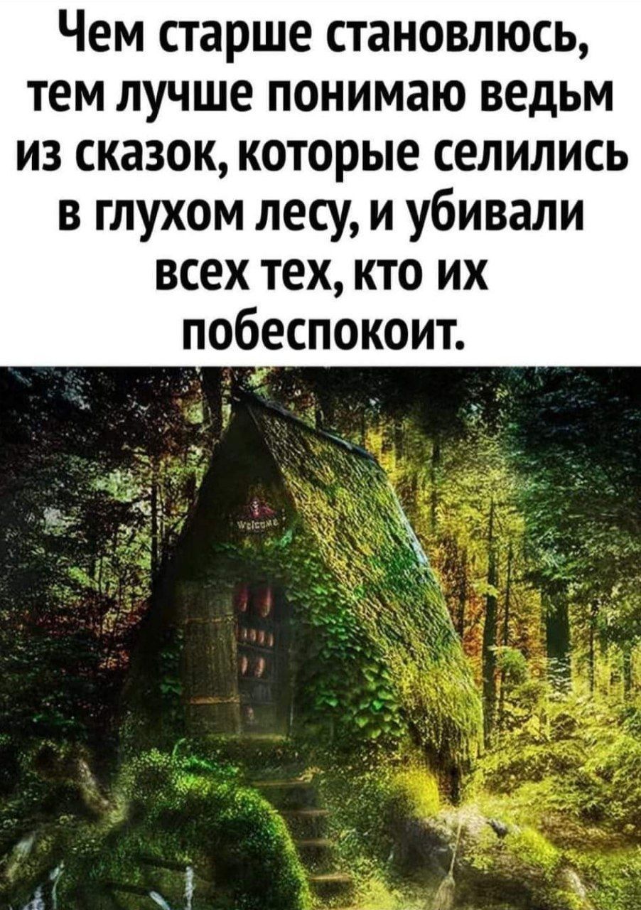 Чем старше становлюсь тем лучше понимаю ведьм из сказок которые селились в глухом лесу и убивали всех тех кто их побеспокоит вт А у ЦР _ к и г _ _ 19 3 г