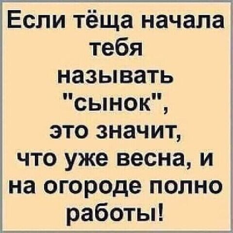 Если тёща начала тебя называть сынок это значит что уже весна и на огороде полно работы