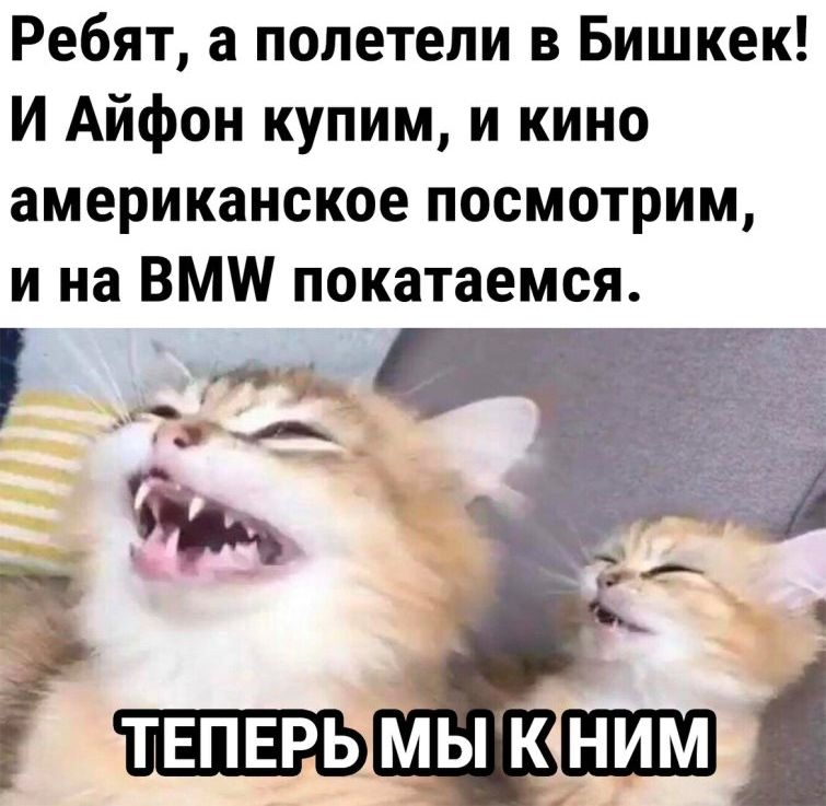 Ребят а полетели в Бишкек И Айфон купим и кино американское посмотрим и на ВМШ покатаемся