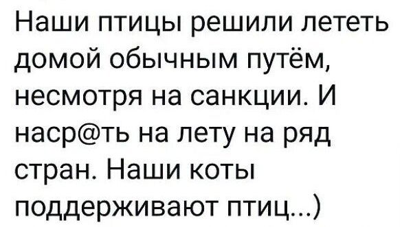 Наши птицы решили лететь домой обычным путём несмотря на санкции И насрть на лету на ряд стран Наши коты поддерживают птиц