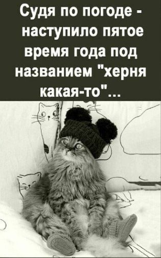 Судя по погоде наступило пятое время года под названием херня какая то