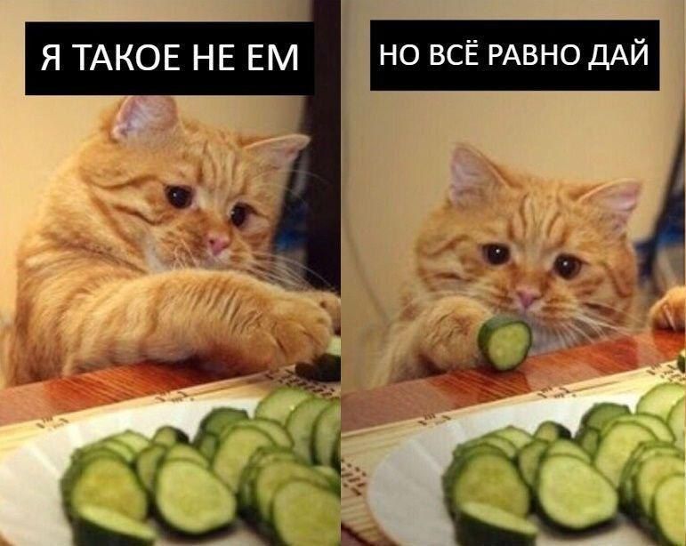 но ВСЁ РАВНО ДАЙ