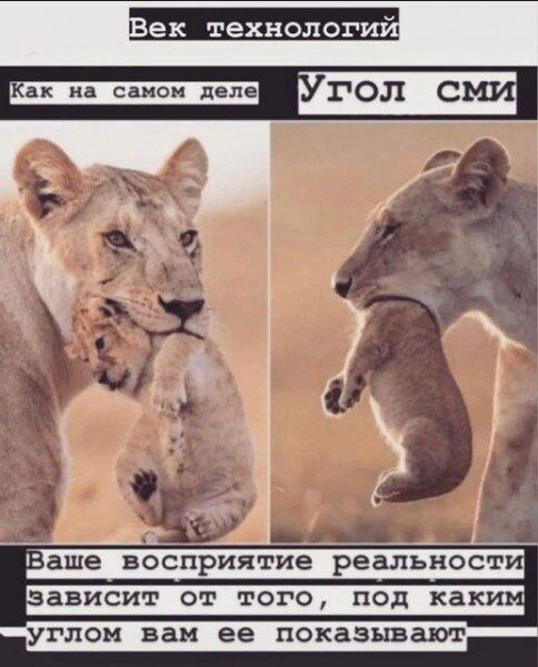 _ ______ аше воспрятие реальност углом вам ее показывают