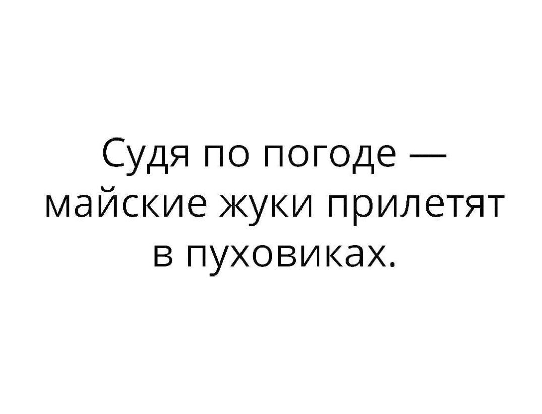 Майские жуки прилетят в пуховиках картинки