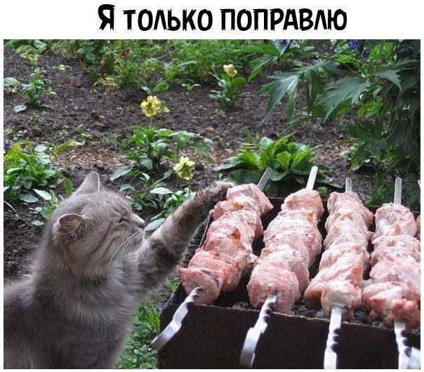 ТОАЬКО ПОПРАВАЮ