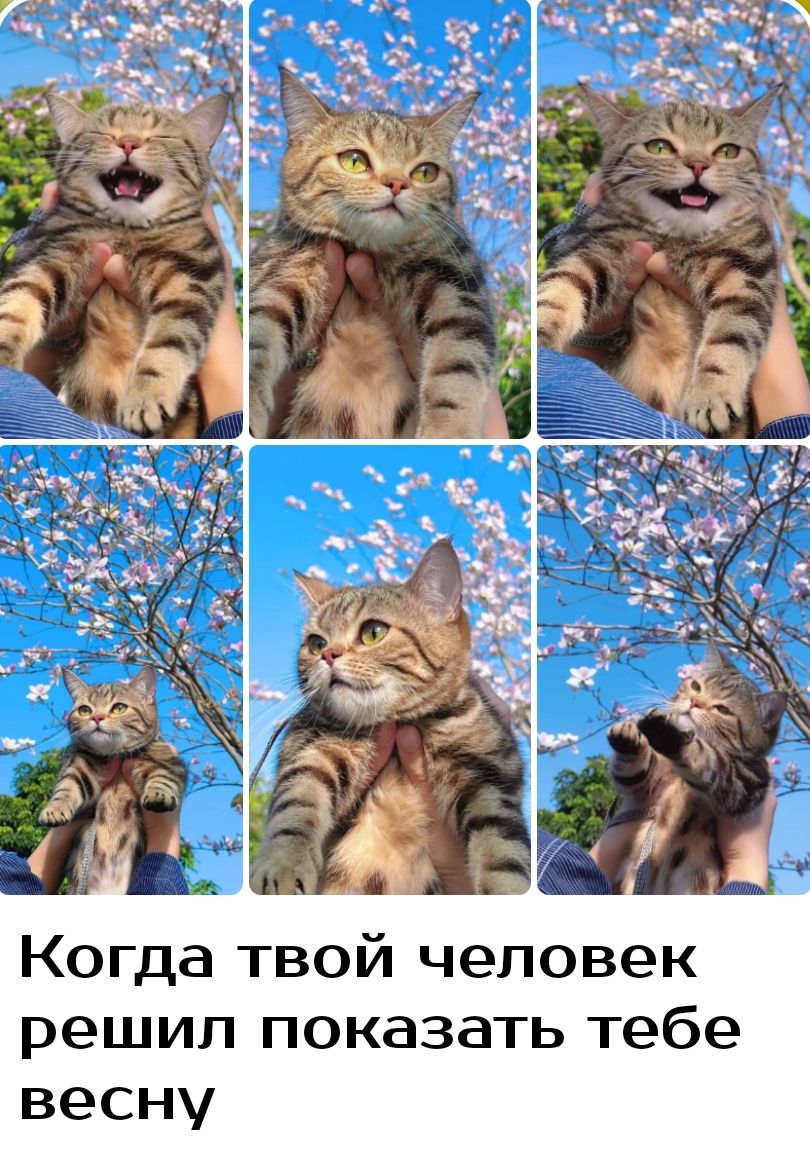 Когда твой человек решил показать тебе весну