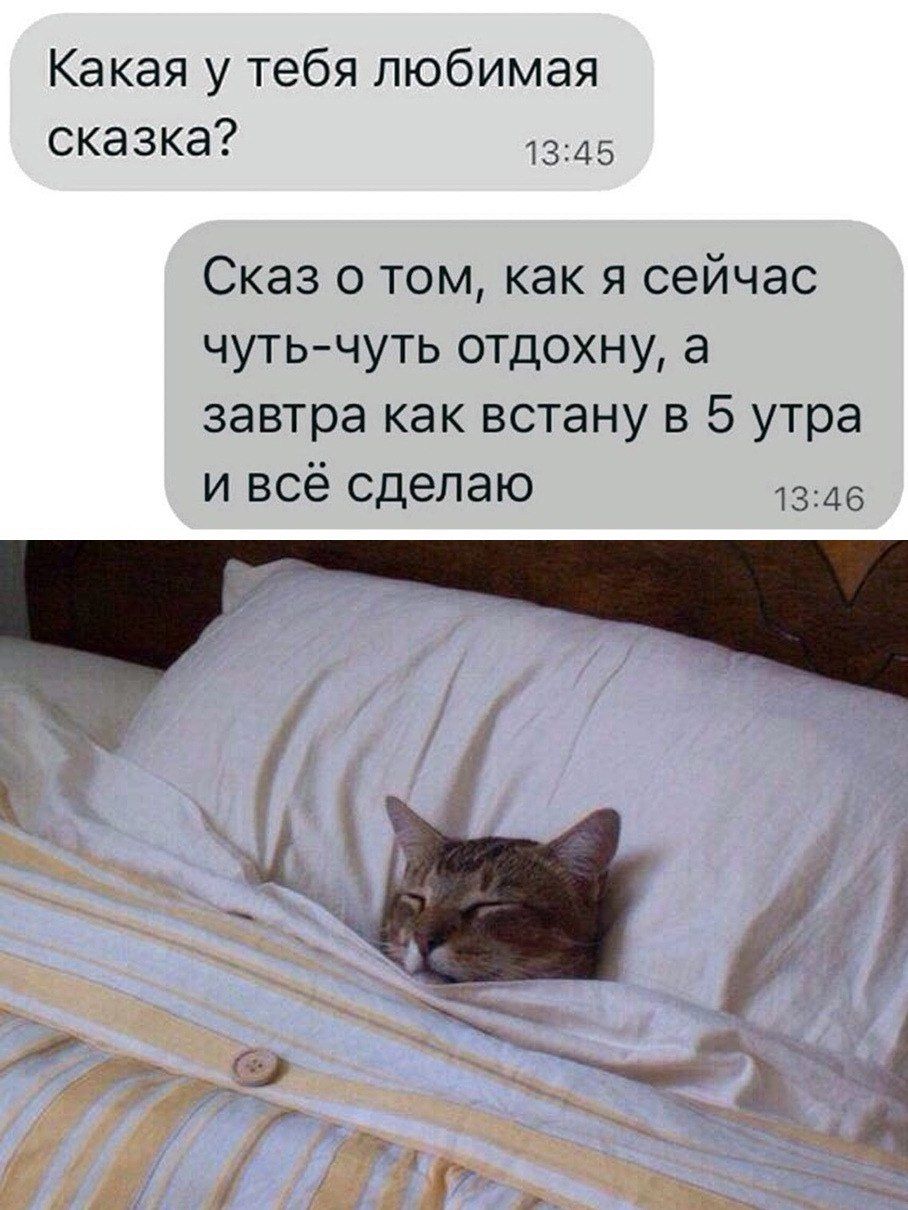 Какая у тебя любимая сказка 1345 Сказ о том как я сейчас чутьчуть отдохну а завтра как встану в 5 утра и всё сделаю 1346