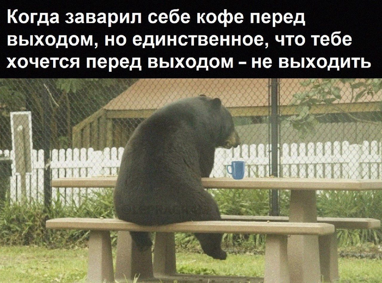 Когда заварип себе кофе перед выходом но единственное что тебе хочется перед выходом не выходить