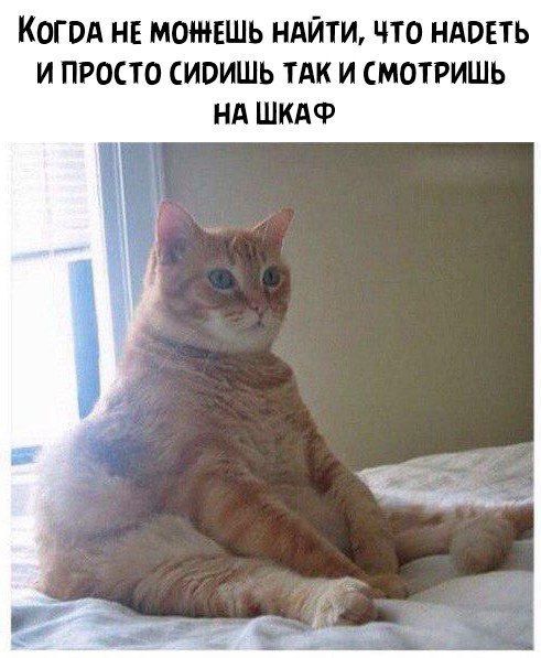 КОГОА НЕ МОЖЕШЬ НАЙТИ ЧТО НАОЕТЬ И ПРОСТО ИОИШЬ ТАК И СМОТРИШЬ НА ШКАФ