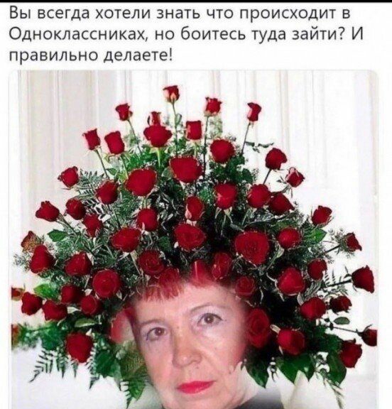 Вы всегда хотели знать что происходит в Одноклассниках но боитесь туда зайти И правильно делаете