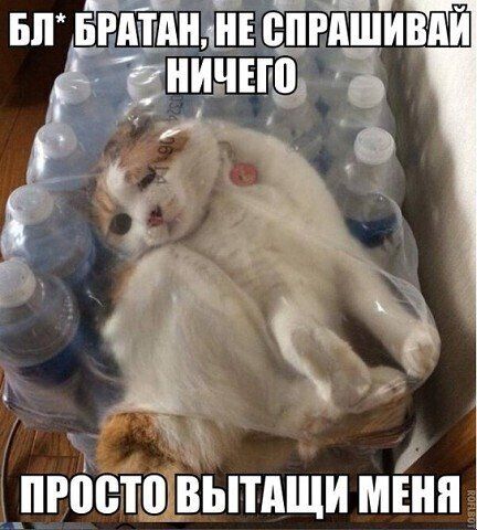 ЬЛ БЪРАПННЕ СПНШИШИ Ч 3 Га _пюсщвытдщи МЕНЯ