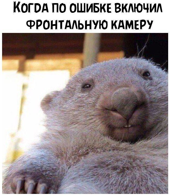 Когод по ОШИБКЕ ВКАЮЧИА ФРОНТАЬНУЮ кдмвру