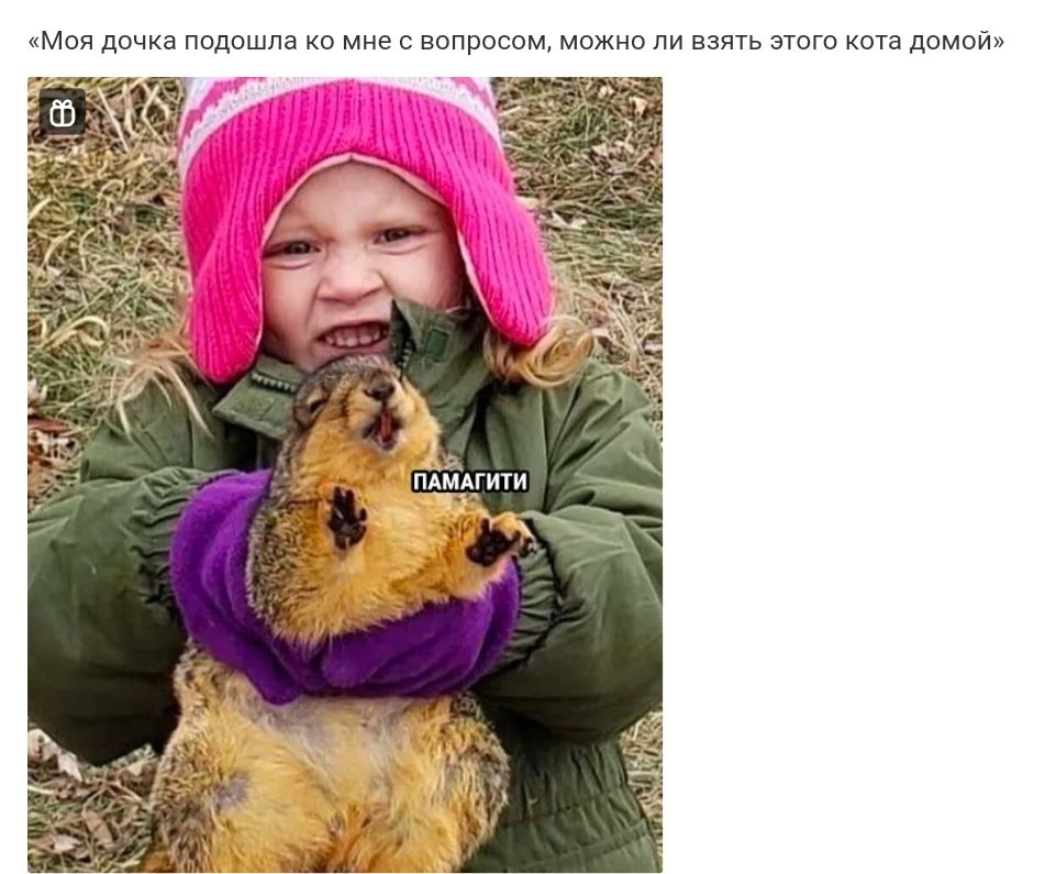 МОЯ дочка ПОДОШПЗ КО мне С ВОПРОСОМ МОЖНО ЛИ ВЗЯТЬ ЭТОГО кота ДОМОЙ