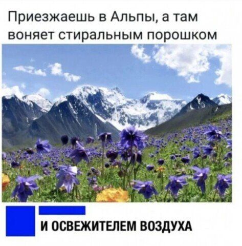 Приезжаешь в Альпы а там воняет стиральным порошком 1 И ОСВЕЖИТЕЛЕМ ВОЗДУХА