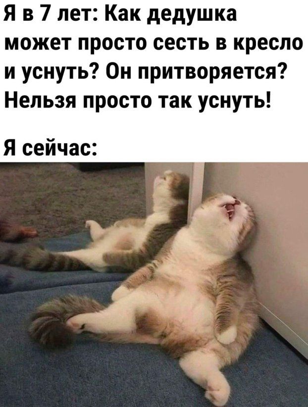 Я в 7 лет Как дедушка может просто сесть в кресло и уснуть Он притворяется Нельзя просто так уснуть Я сейчас ц я