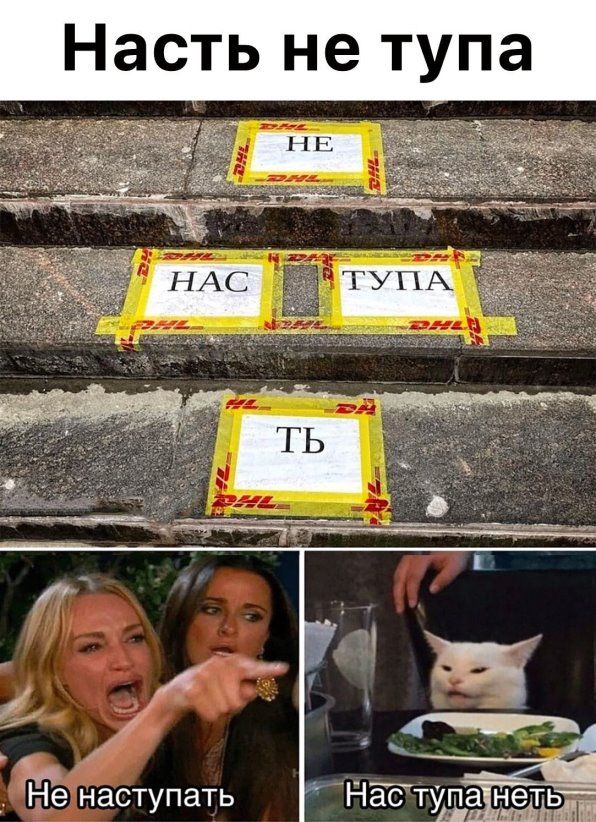 Насть не тупа
