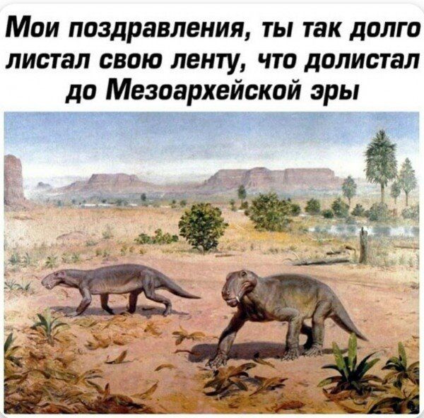 Мои поздравления ты так долго листал свою ленту что долистал до Мезоархейской эры __ч