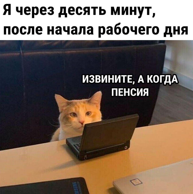 Я через десять минут после начала рабочего дНЯ извинитв А КОГДА пвнсия
