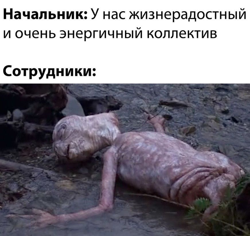Начальник У нас жизнерадостный и очень энергичный коллектив Сотрудники